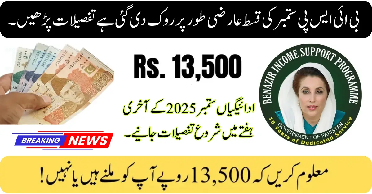 8171 Quarterly Payment for July-September has been Temporarily Stopped - Why