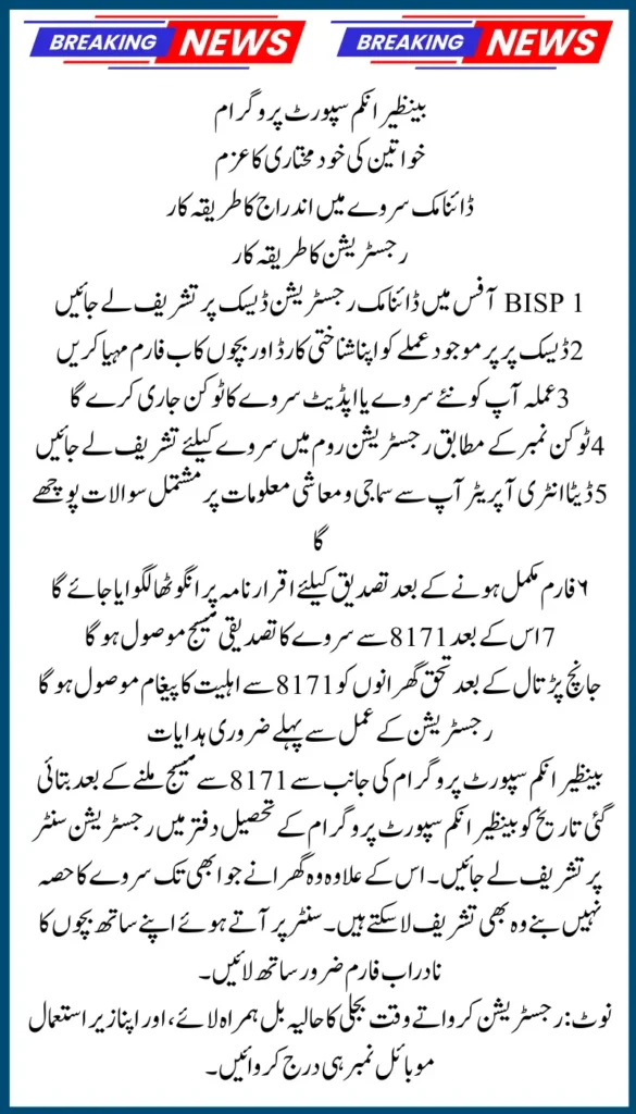 BISP 8171 Empowers Women in 2025 with Dynamic Survey for Self-Employment Aid