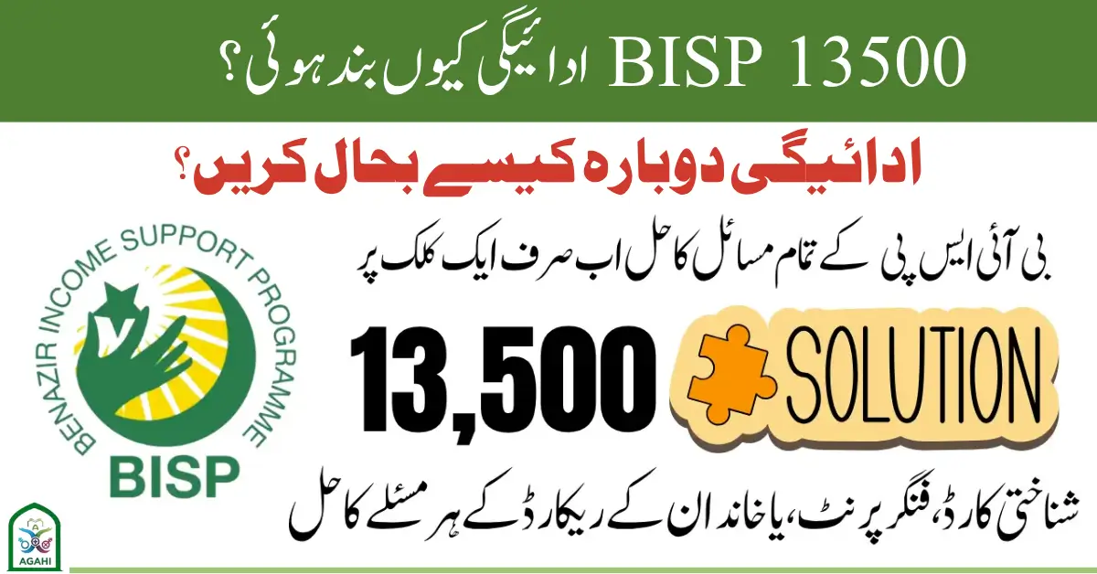 BISP Beneficiaries 2025: Reasons Behind Stopped 13,500 Payments & Quick Recovery Steps