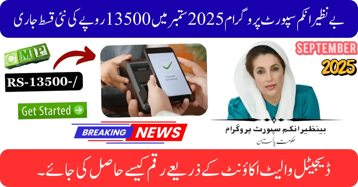 How to Receive Payments Seamlessly with the Benazir 8171 Digital Wallet