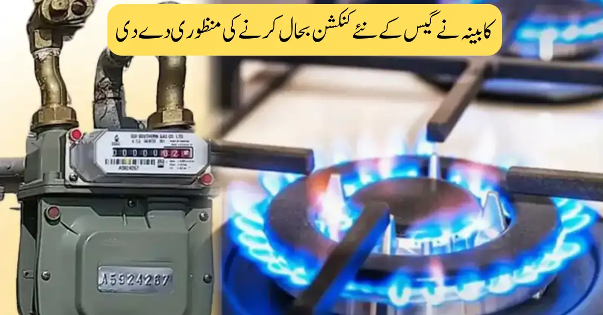 Federal Cabinet Greenlights Resumption of Gas Connections for Homes on RLNG Prices