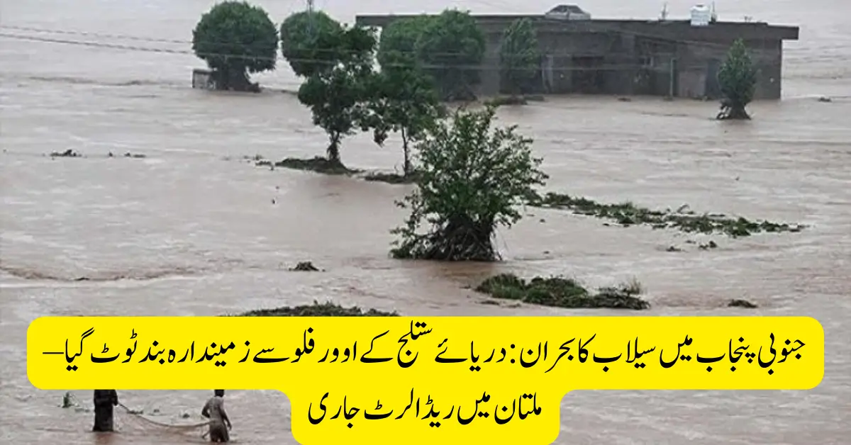 Flood Crisis in South Punjab Zamindar Dam Breaks as Sutlej River Overflows – Red Alert Issued in Multan
