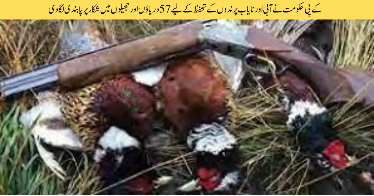 KP Govt Prohibits Hunting in 57 Rivers & Lakes to Protect Waterfowl & Rare Birds