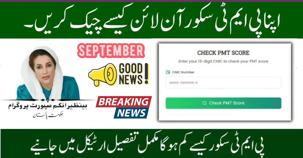 PMT Score Check 2025 Official Guide to Verify Eligibility for BISP & Ehsaas Program