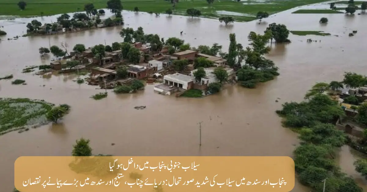 Severe Flood Situation in Punjab & Sindh Chenab, Sutlej, & Indus Rivers Cause Widespread Damage