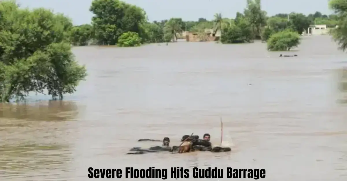 Severe Flooding Hits Guddu Barrage; Motorway M5 Shut, Villages in Multan, Rahim Yar Khan & Rajanpur Inundated
