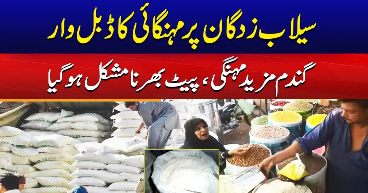 Wheat Prices hit Record High in Punjab due to Floods