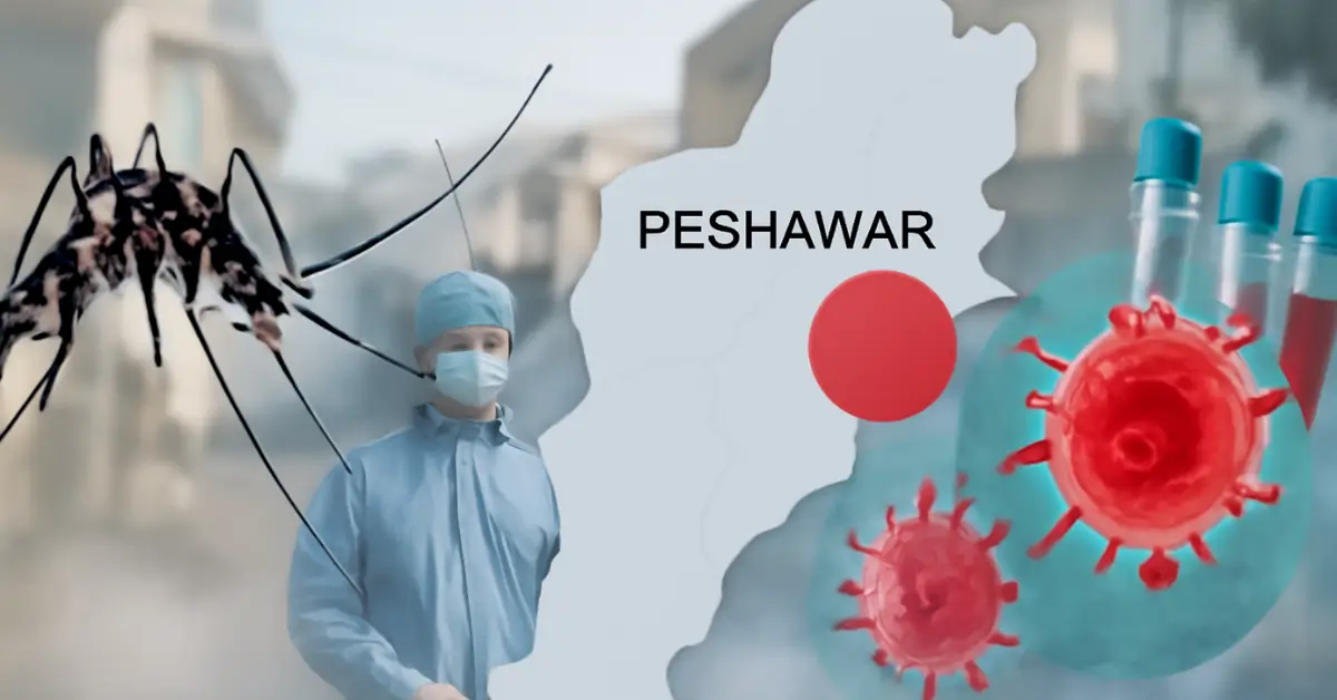 Chikungunya outbreak spreads in Peshawar, 16 cases confirmed in Safid Dheri