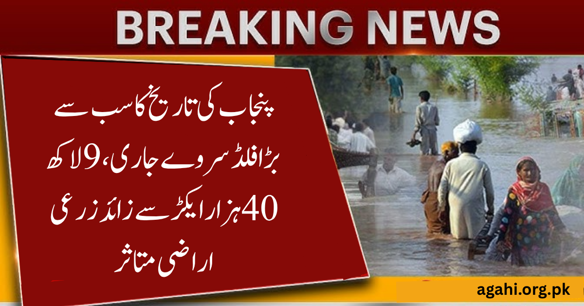Punjab's Largest Flood Survey 48% Completed as Over 329,000 Affected Citizens Identified