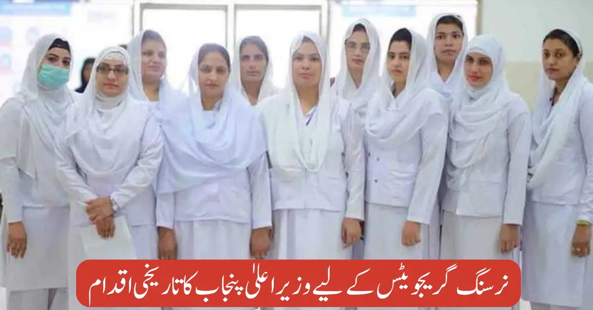 Paid internships for nursing graduates launched
